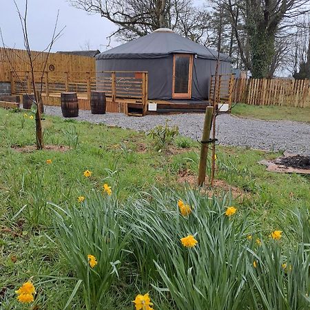 The Snowdrop Hotell Galway Eksteriør bilde