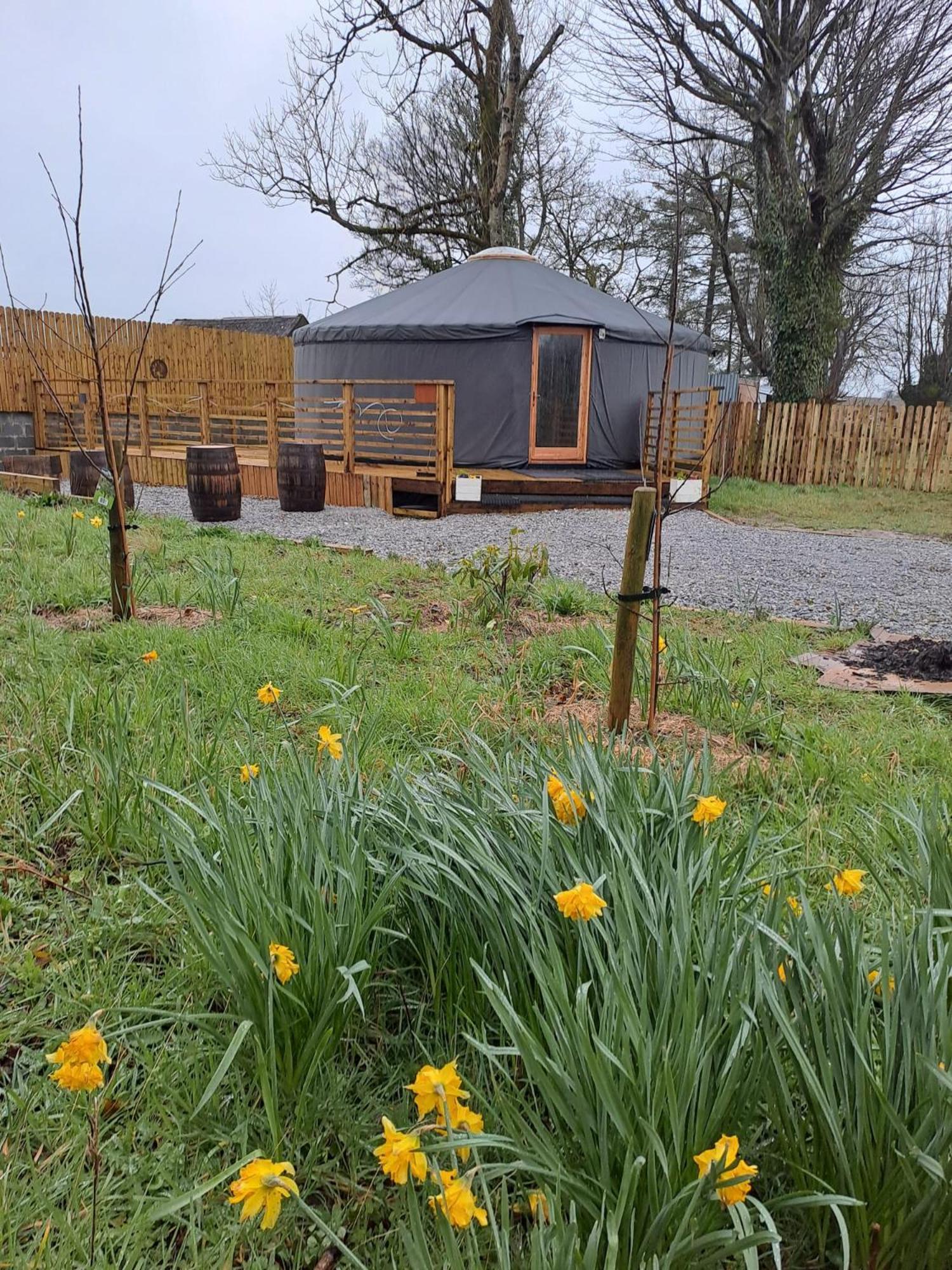 The Snowdrop Hotell Galway Eksteriør bilde